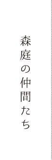 森庭の仲間たち