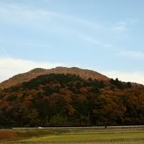 秋にはとても綺麗な紅葉がお出迎え！